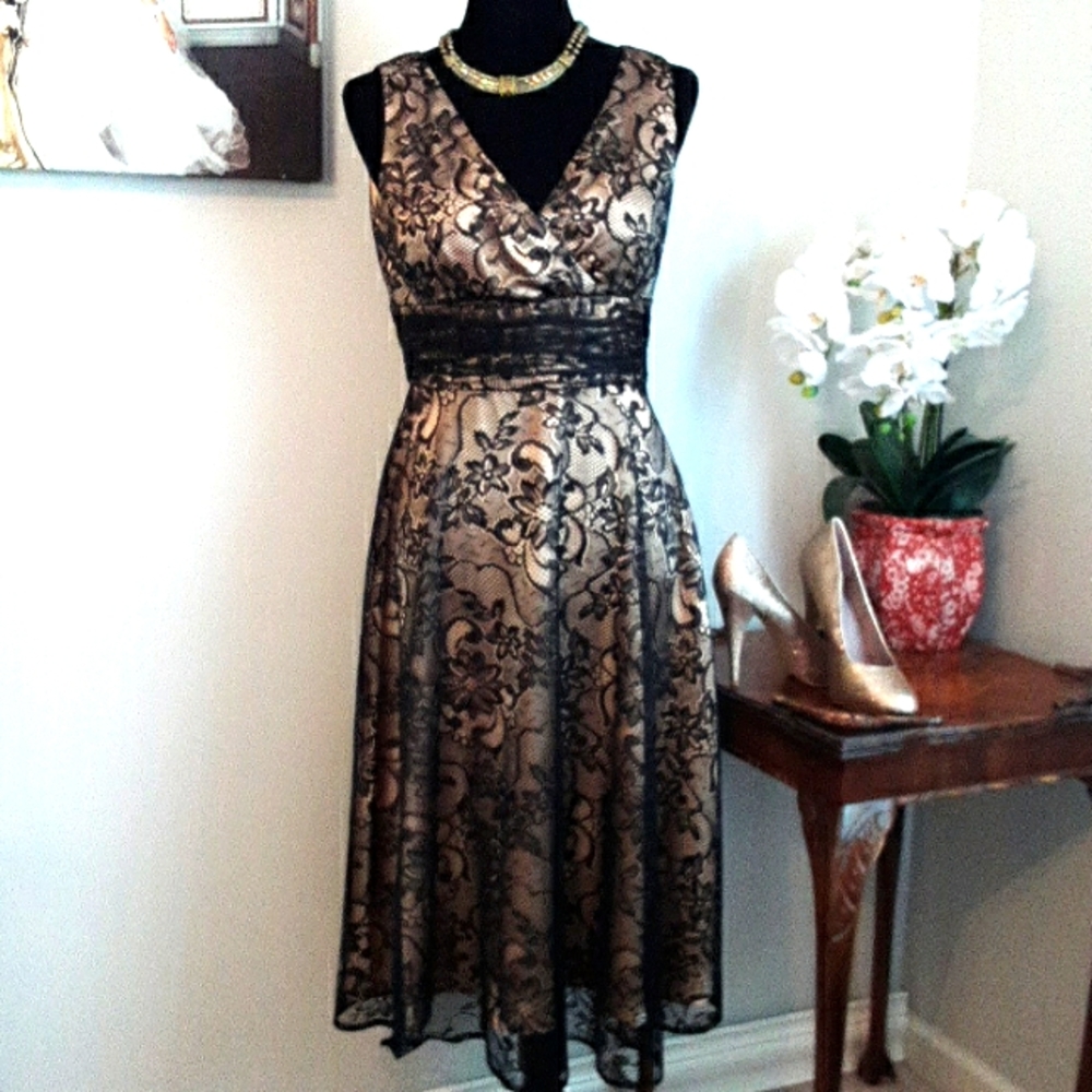 Black Lace Over Soft Golden Satin Dress by Coldwater Creek on PETITE